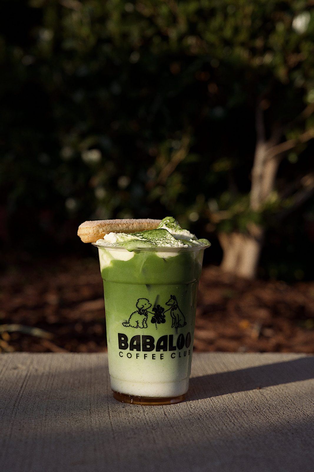 Iced matcha in a Babaloo to-go cup